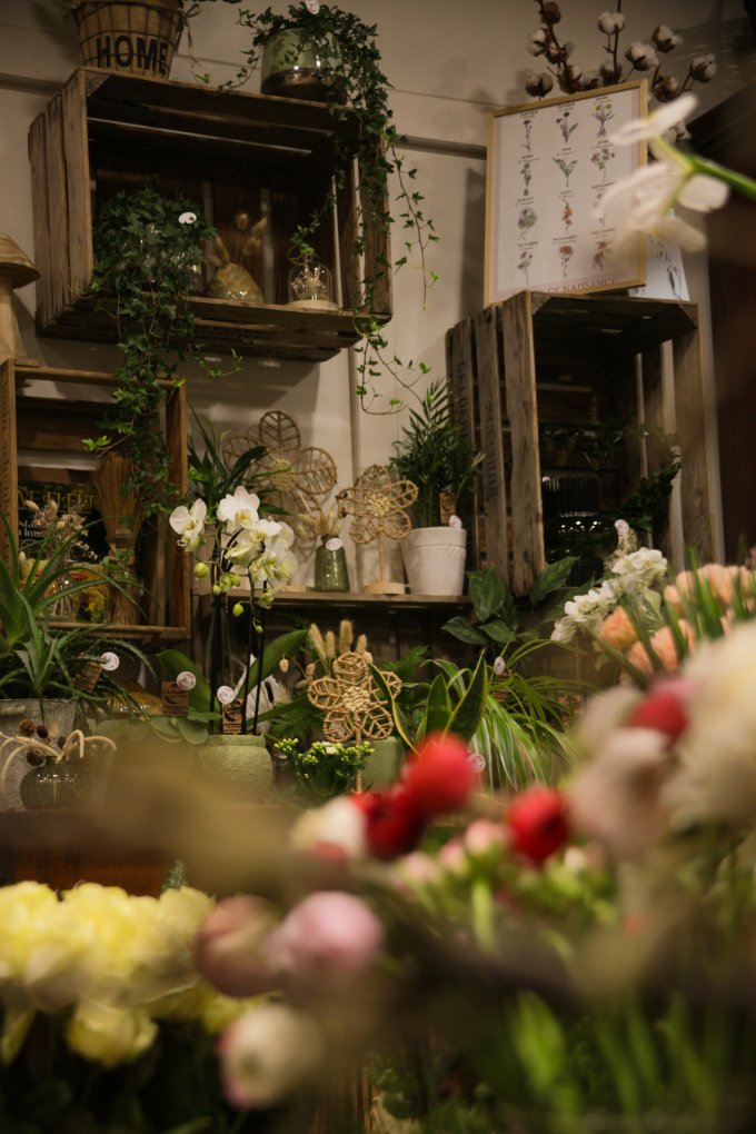 Un parfum de souvenir et de tendresse photo 22